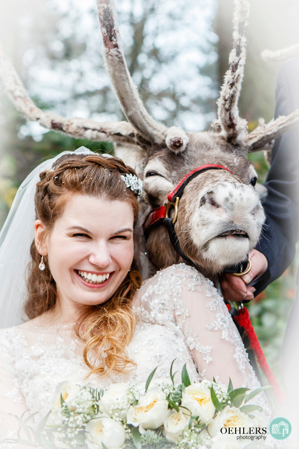 A posed photograph of the bride with a reindear smiling over her left shoulder.