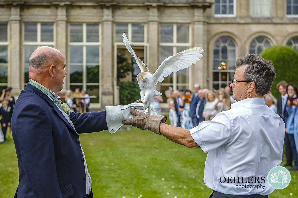 an owl lands on the groom's arm carrying the rings