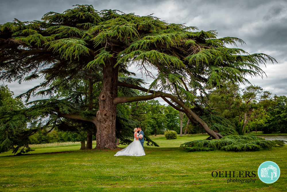 bride and groom under a huge cedar tree at Stubton Hall