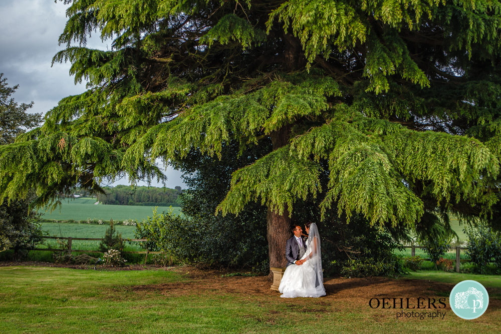Bride sitting on lap of the Groom underneath a tree