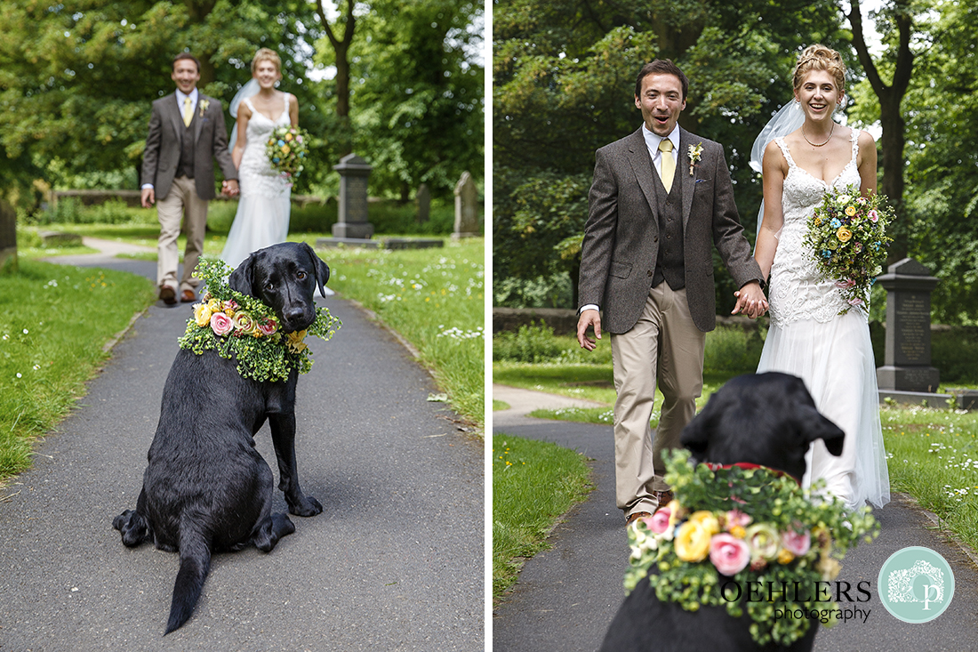 Pet dog greets the Bride and Groom