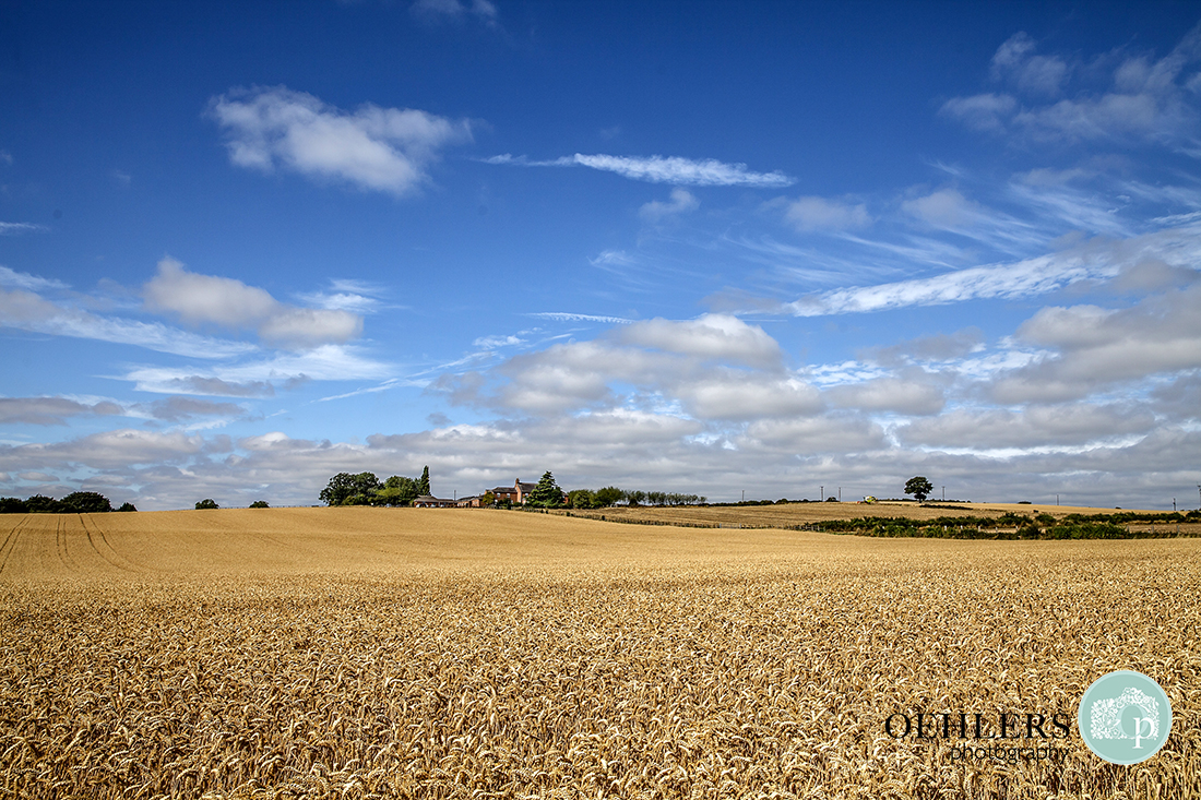 Swancar Farm Wedding Photography