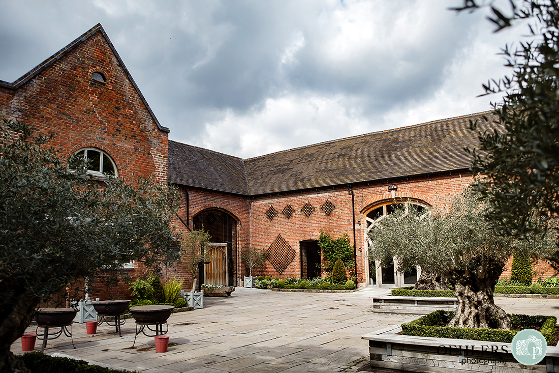 Olives trees in the sunny courtyard at Shustoke Barn, Coleshill.