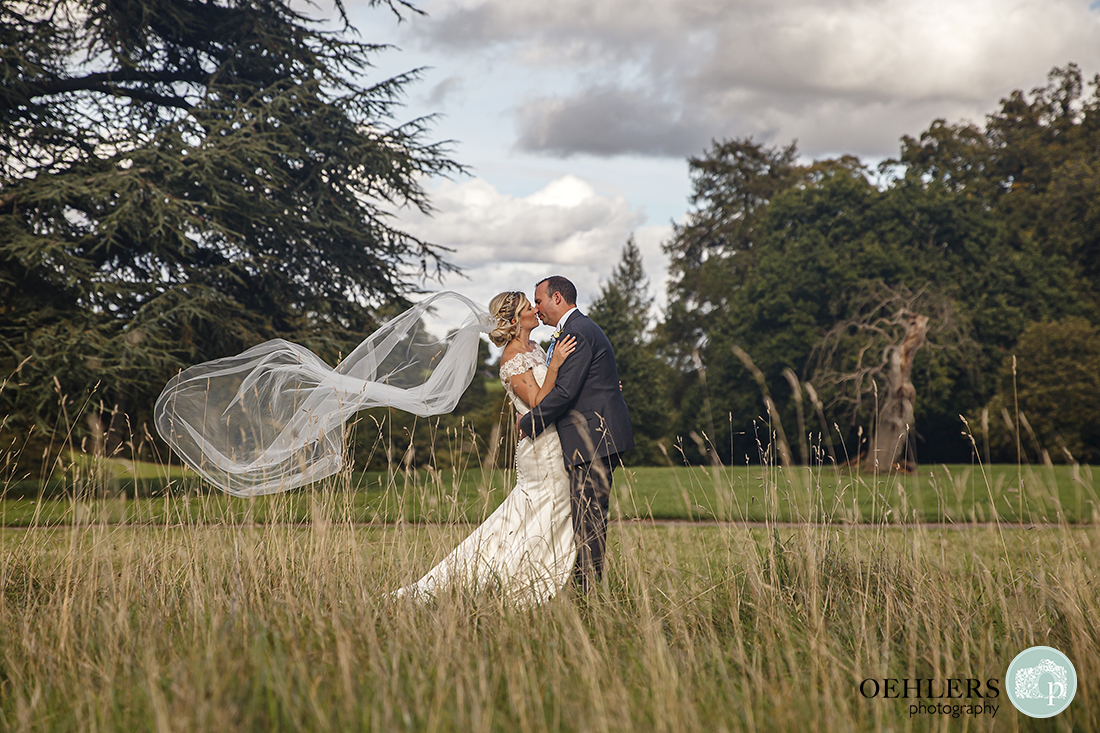 looking through grasses at the bride and groom kissing with the veil swirling in the wind