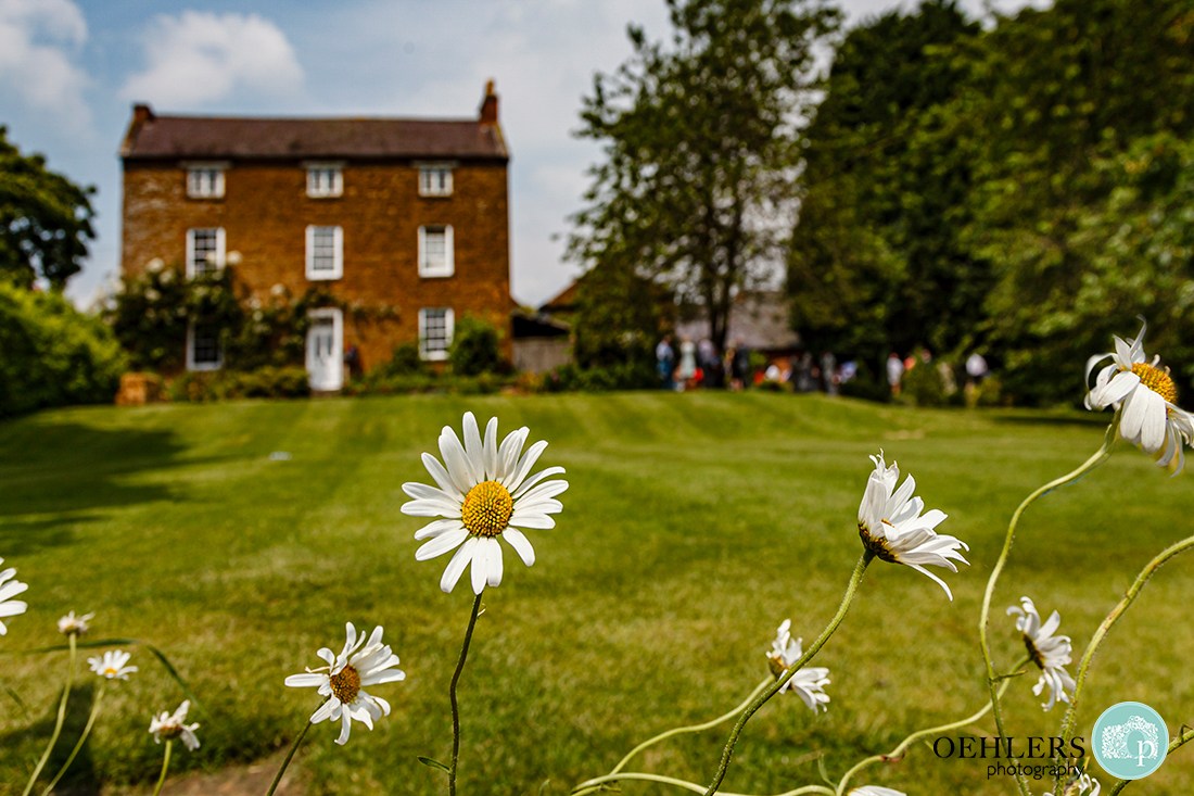 Photographs of daisies in the foreground and Leicestershire venue in the background