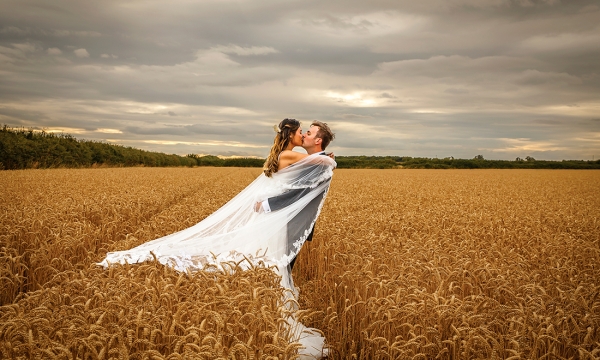 Bride and Groom kissing in a corn field